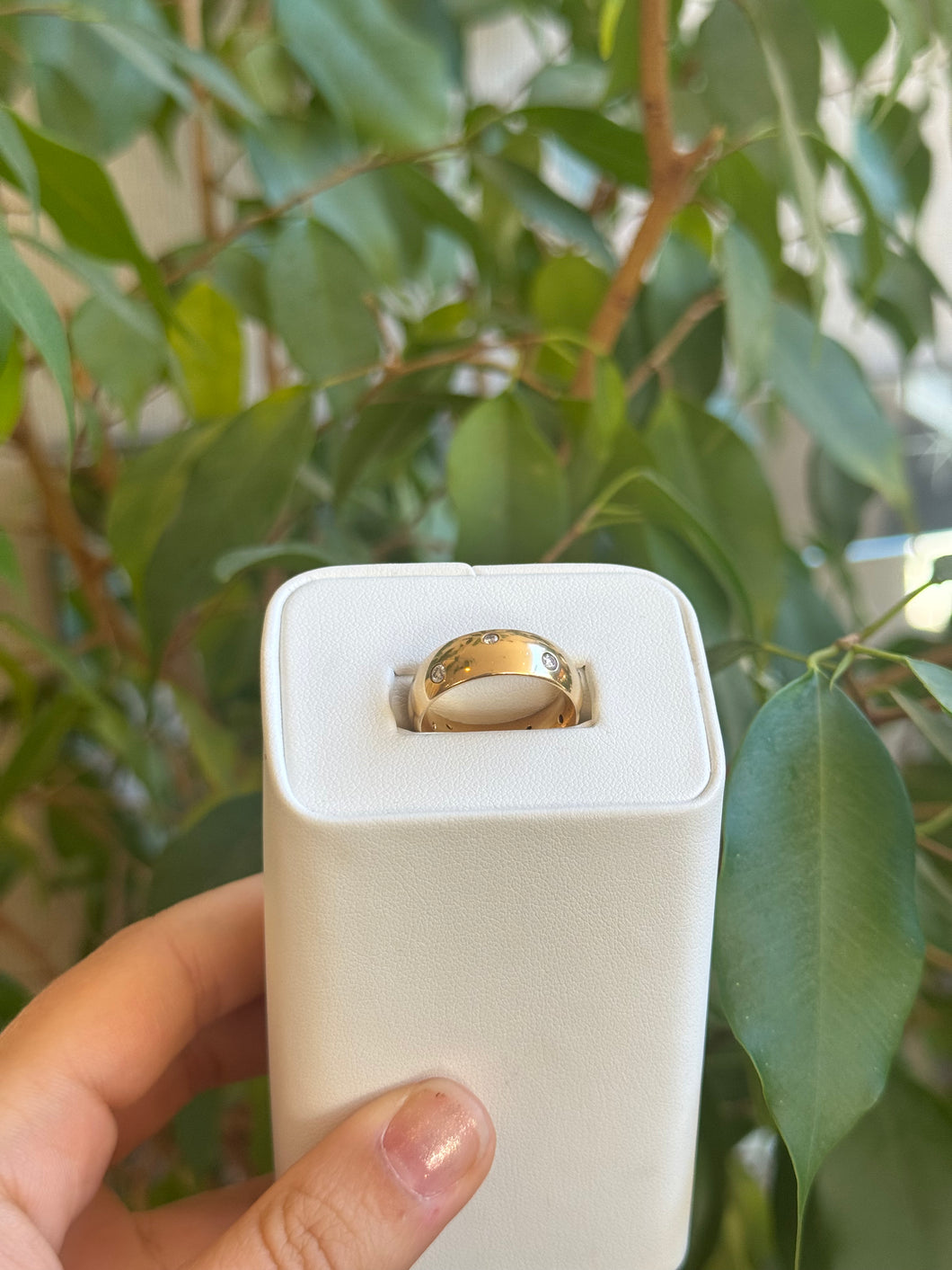 DS Wide Dome Gold Band with Burnished Set Diamonds