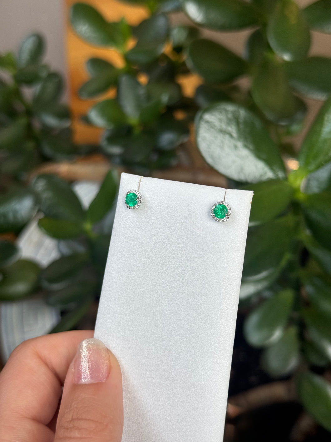 Halo Emerald Stud Earrings
